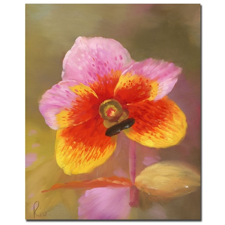 'Orange-Pink Orchid' Canvas Art,14x19